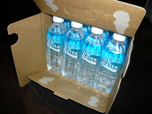 20061114_2.jpg