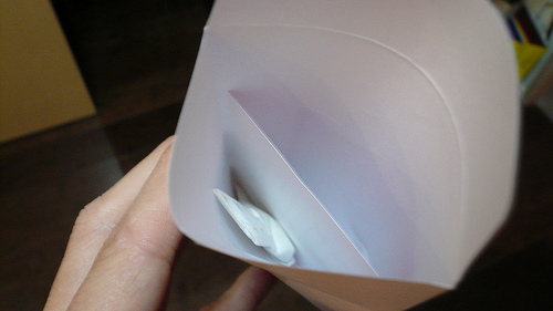 20080128_10.jpg