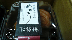 20080128_2.jpg