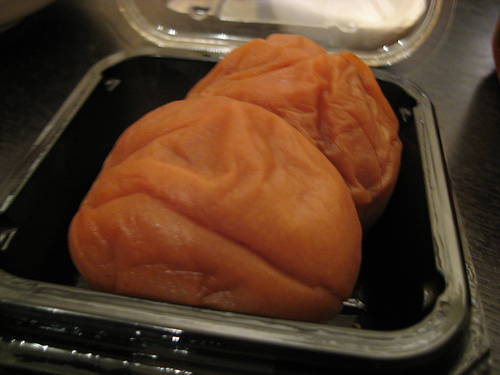 20080128_7.jpg